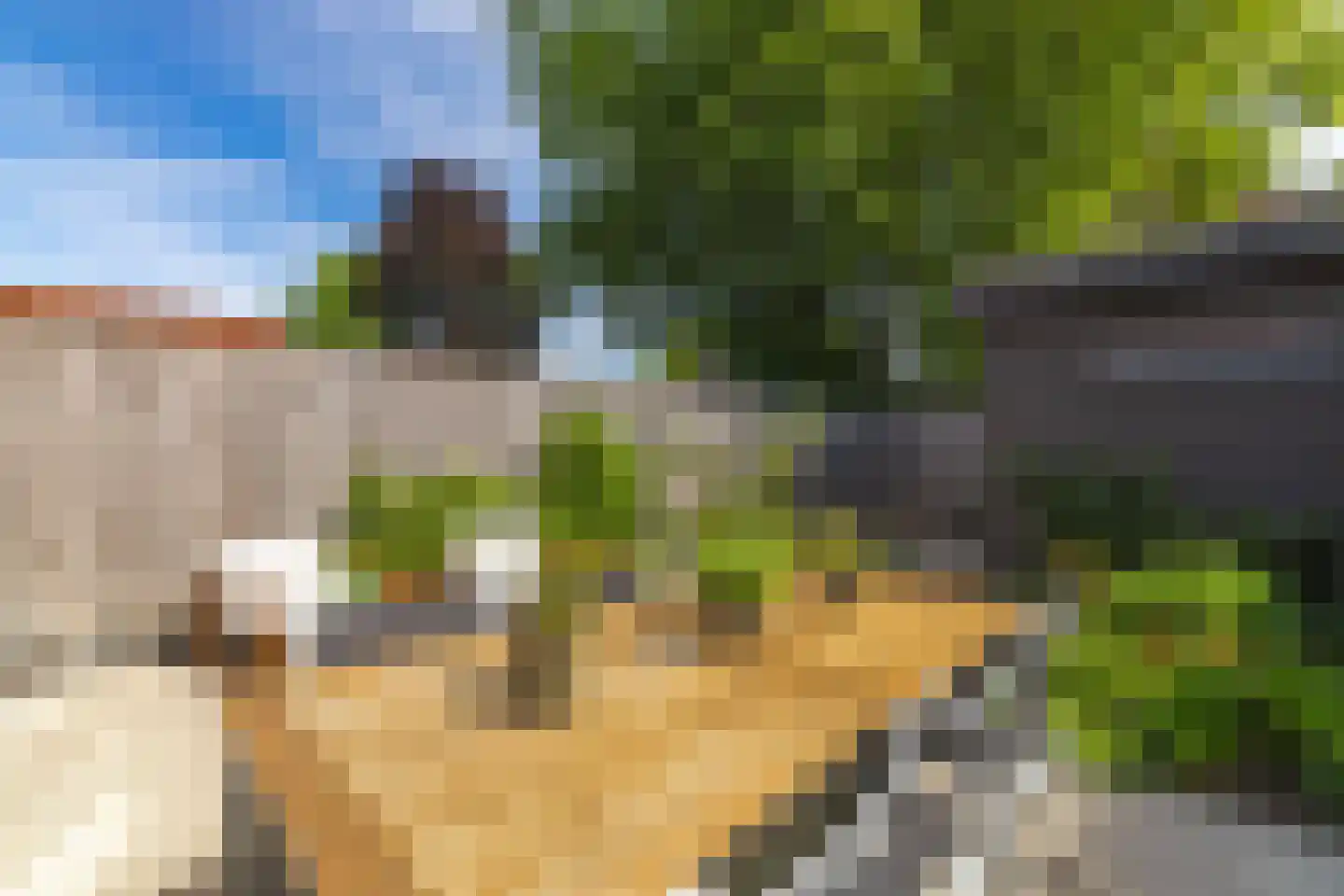Werfhof 9 Zundert thumbnail 32