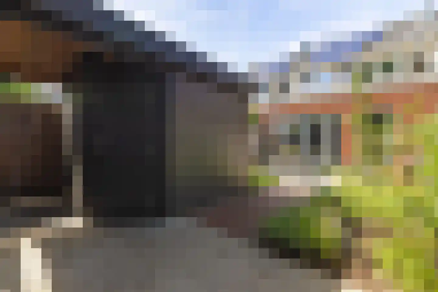 Werfhof 9 Zundert thumbnail 33