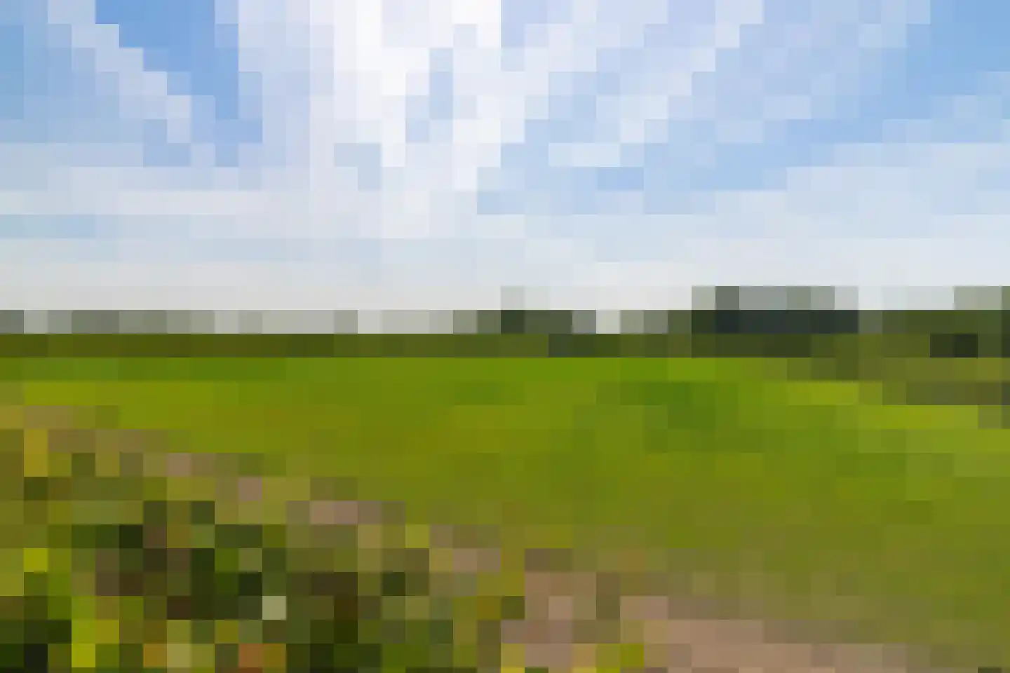 Werfhof 9 Zundert thumbnail 36