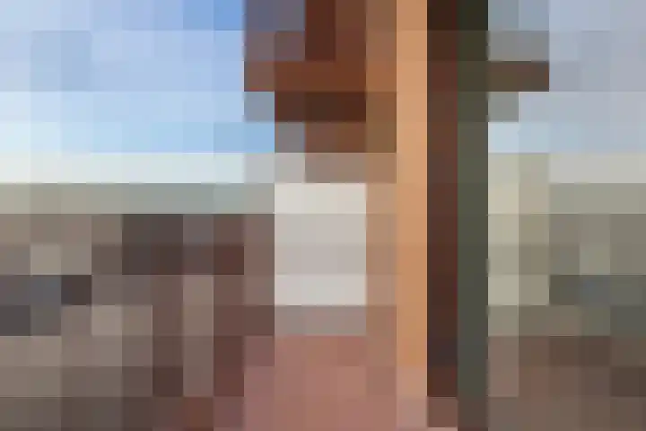 Werfkade 101 Amsterdam thumbnail 17