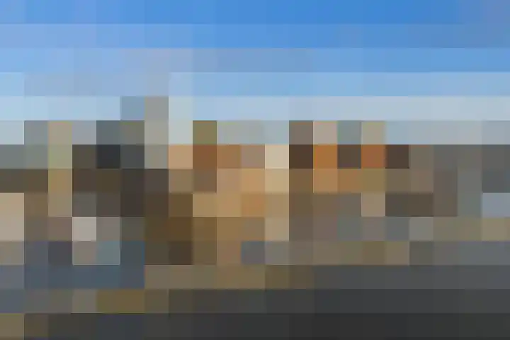 Werfkade 101 Amsterdam thumbnail 36