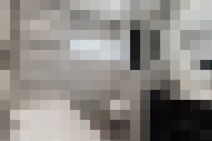 Werfkade 111 Amsterdam thumbnail 10
