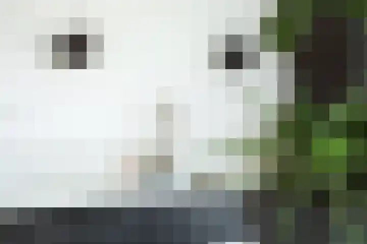 Werfkade 12 Ridderkerk thumbnail 19