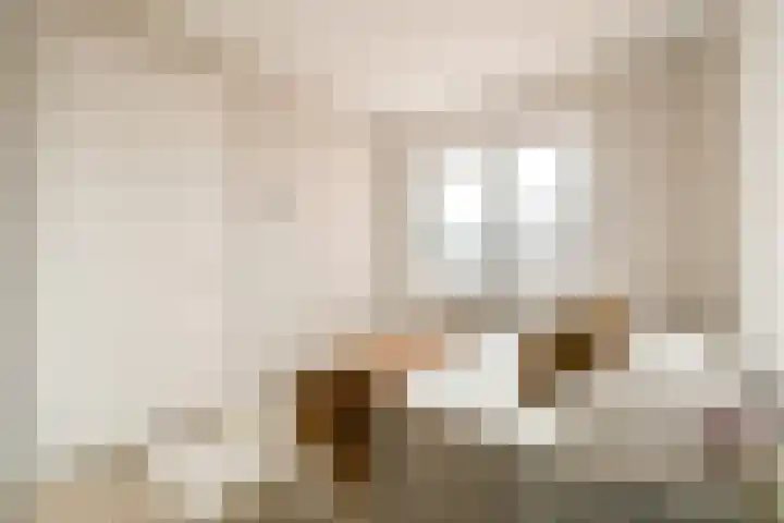 Werfkade 129 Amsterdam thumbnail 12