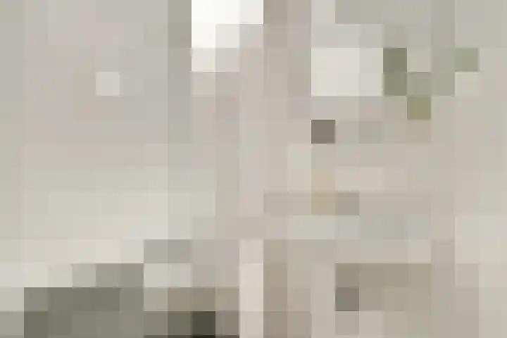 Werfkade 129 Amsterdam thumbnail 16