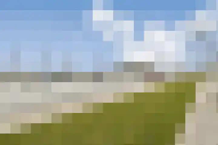 Werfkade 129 Amsterdam thumbnail 18