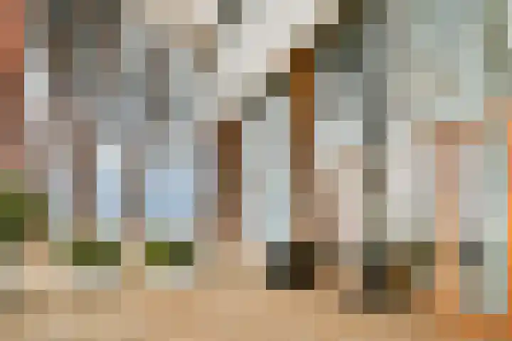 Werfkade 129 Amsterdam thumbnail 19