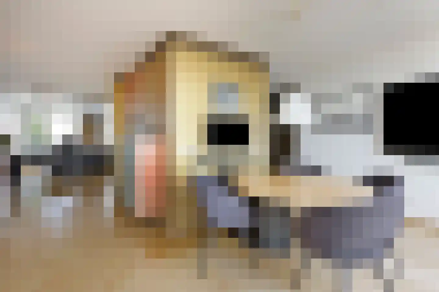 Werfkade 43 Ridderkerk thumbnail 27