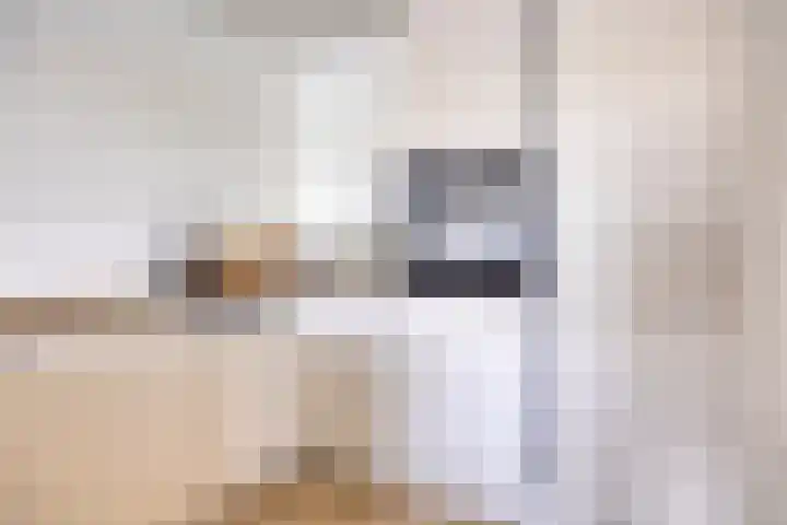 Werfkade 48 Ridderkerk thumbnail 19