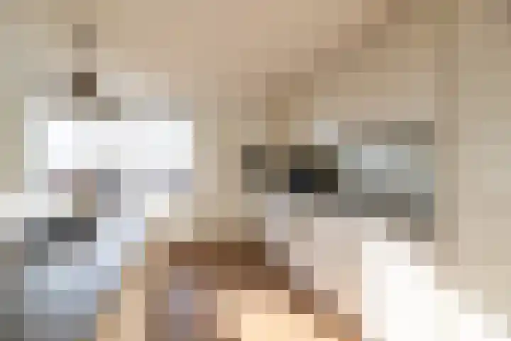 Werfkade 55 Ridderkerk thumbnail 8