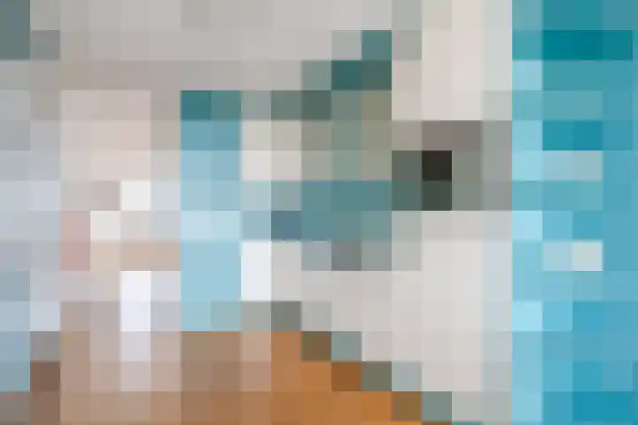 Werfkade 66 Ridderkerk thumbnail 11