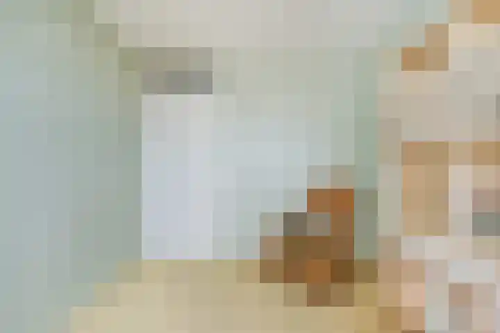 Werfkade 66 Ridderkerk thumbnail 16
