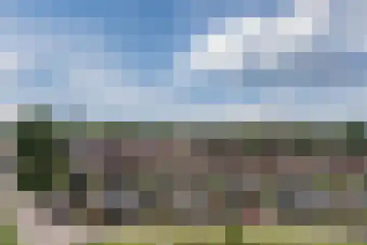 Werfkade 66 Ridderkerk thumbnail 42