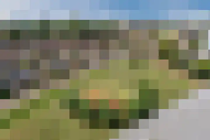 Werfkade 66 Ridderkerk thumbnail 43