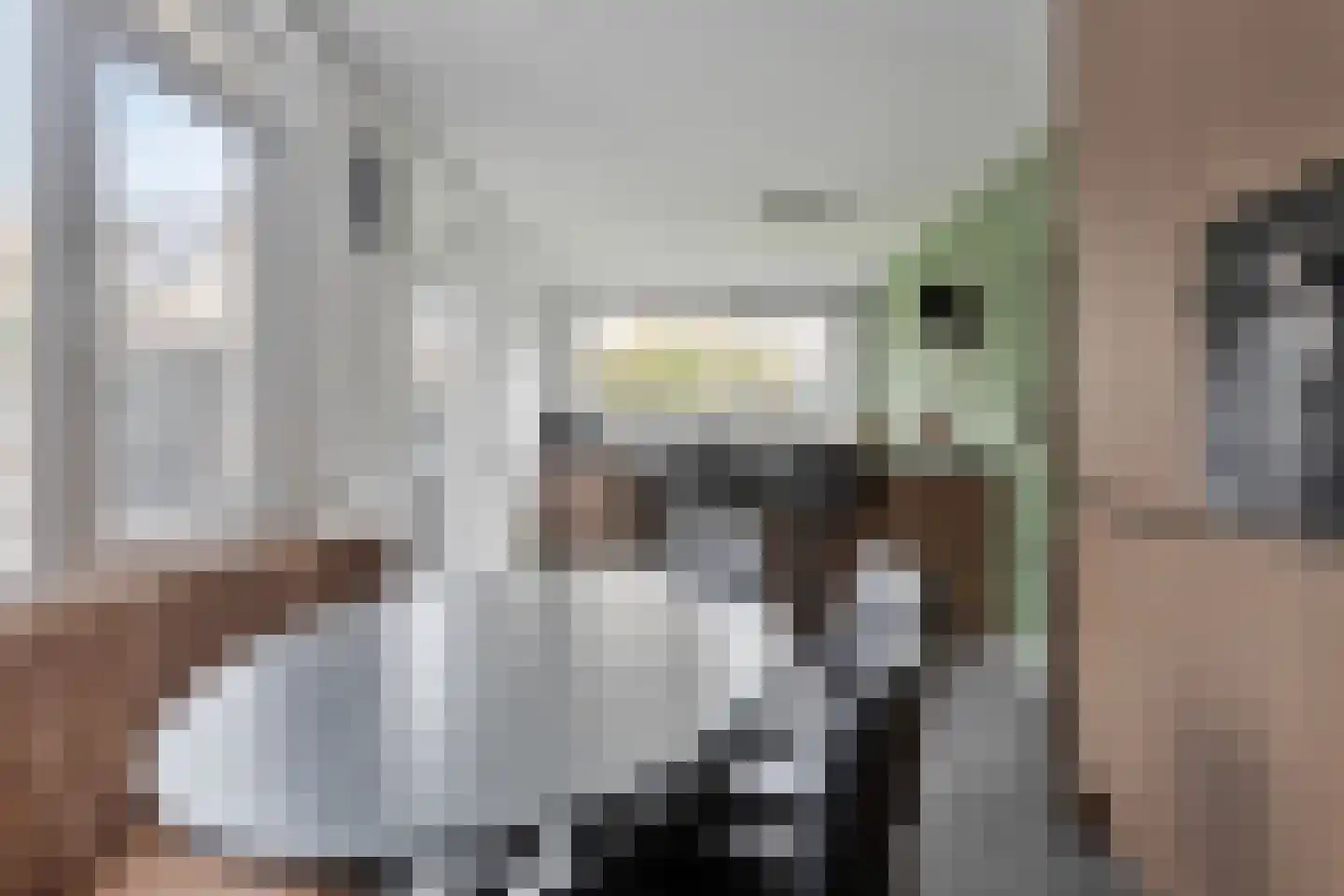 Werfkens 1 Rijsbergen thumbnail 15