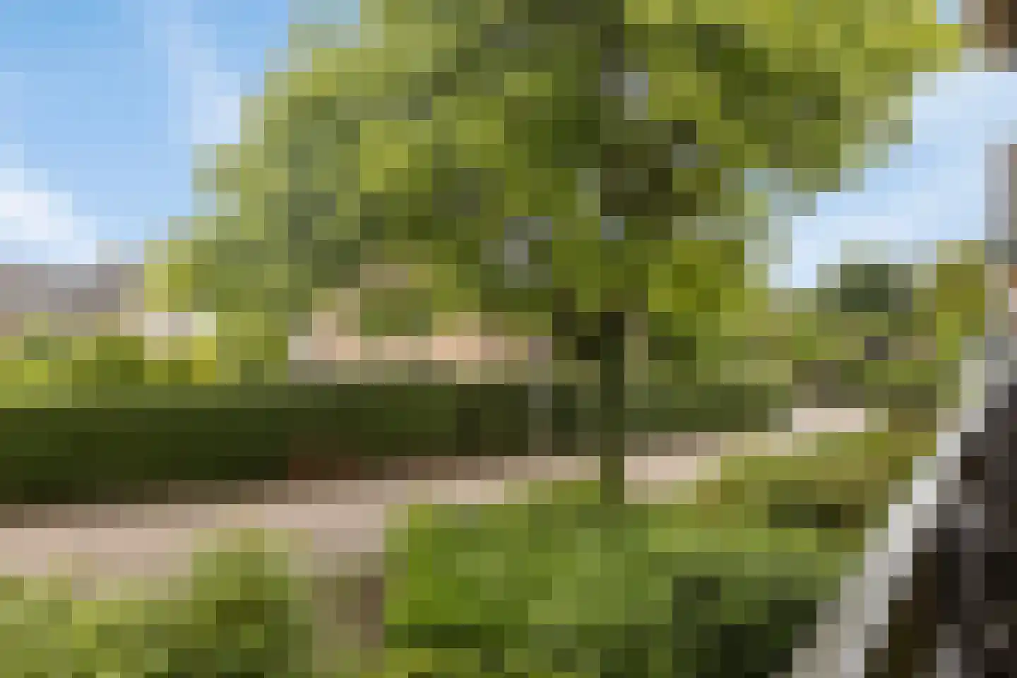 Werfkens 1 Rijsbergen thumbnail 27