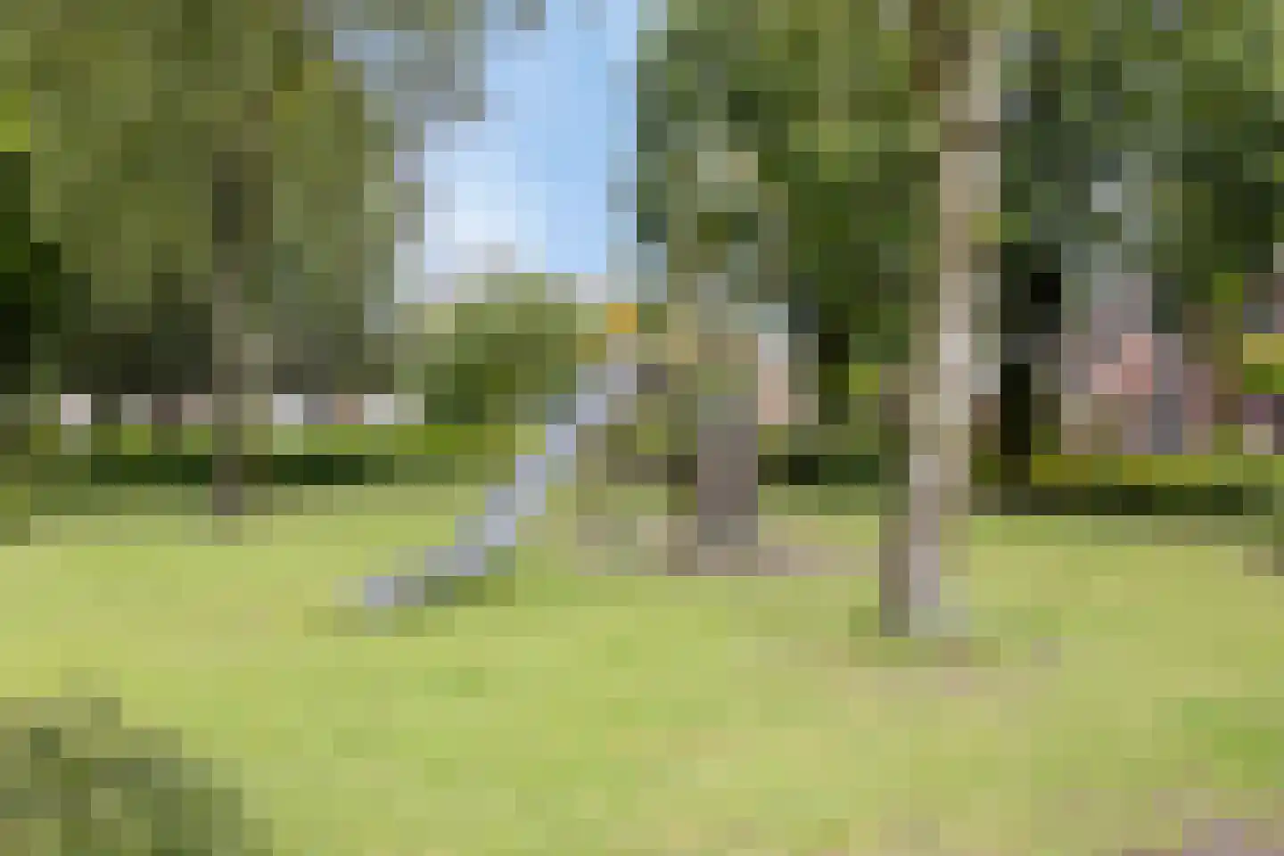 Werfkens 1 Rijsbergen thumbnail 44