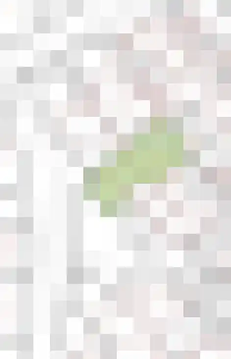 Werfkens 1 Rijsbergen thumbnail 54