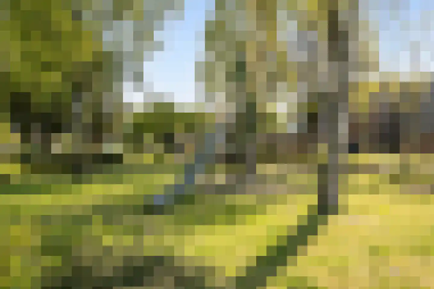 Werfkens 5 Rijsbergen thumbnail 5