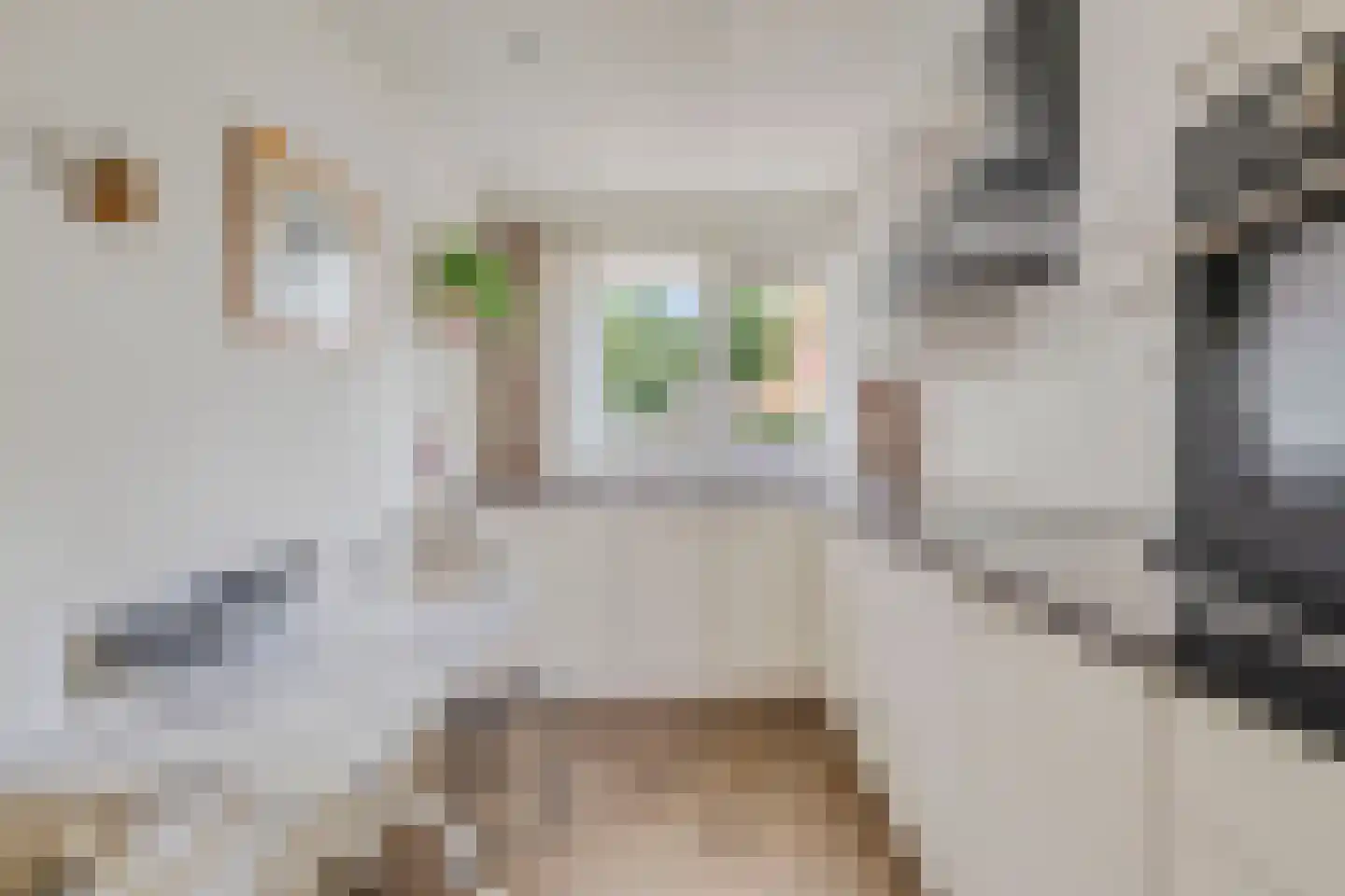 Werflaan 36 Zoetermeer thumbnail 16