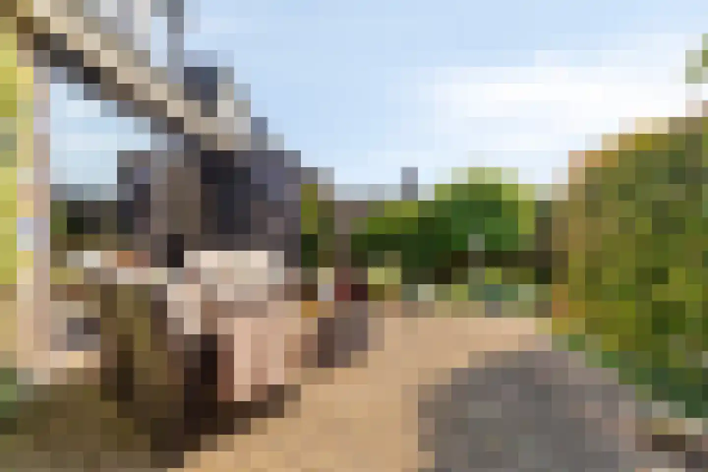 Werflaan 36 Zoetermeer thumbnail 21