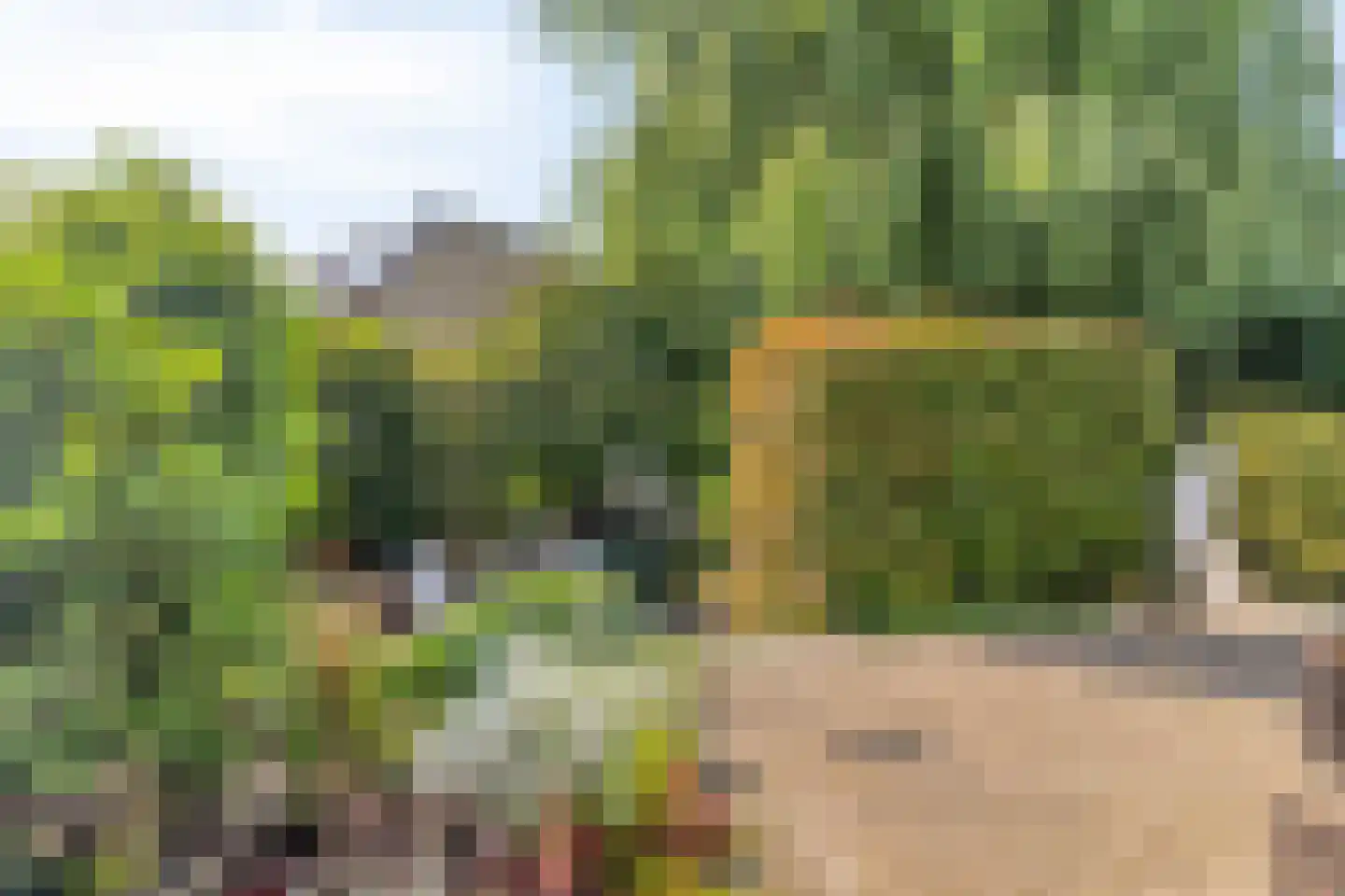 Werflaan 36 Zoetermeer thumbnail 23