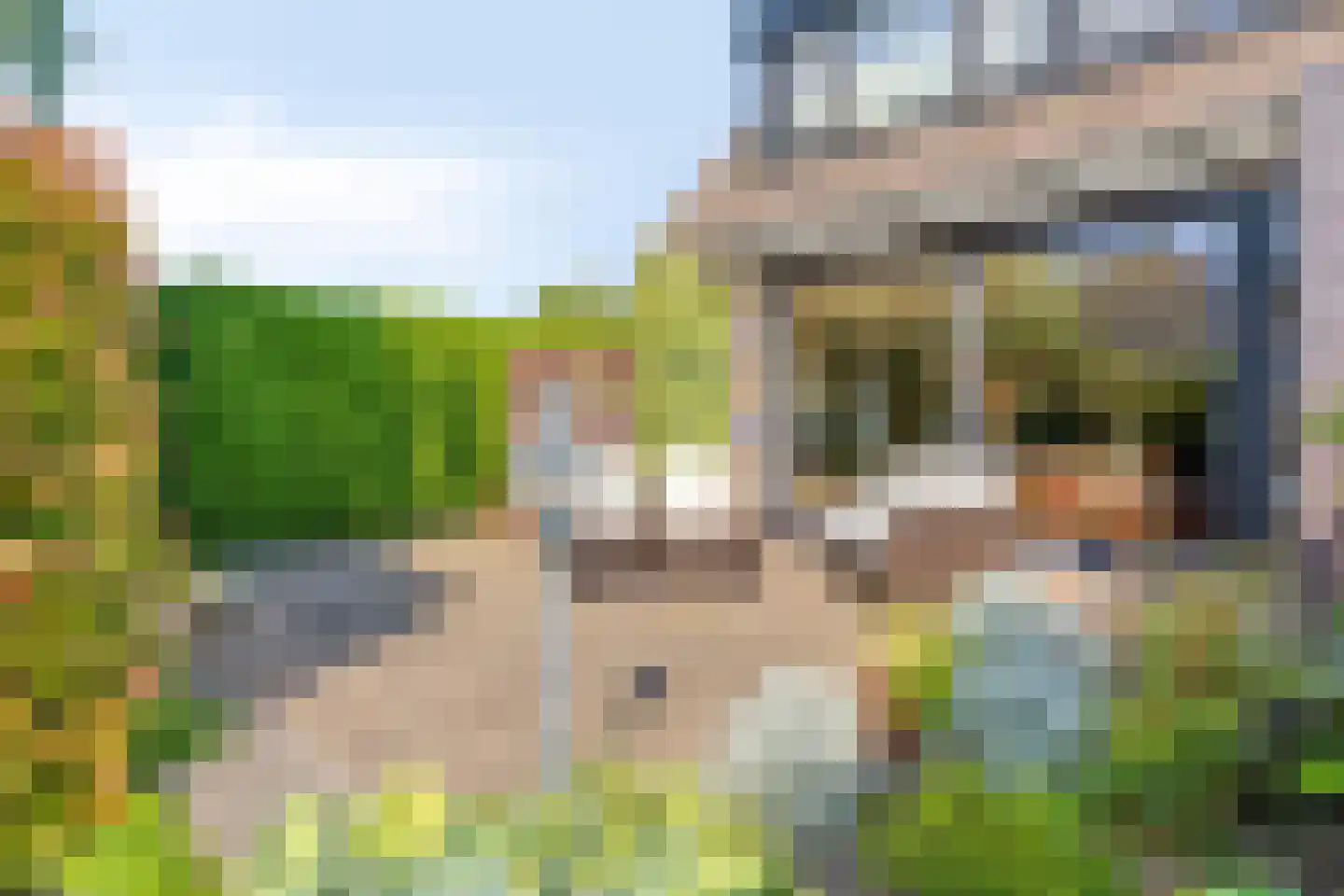 Werflaan 36 Zoetermeer thumbnail 24