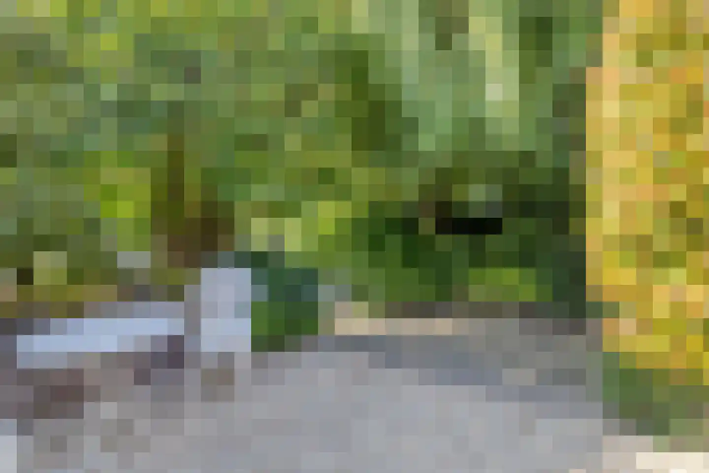 Werflaan 36 Zoetermeer thumbnail 25