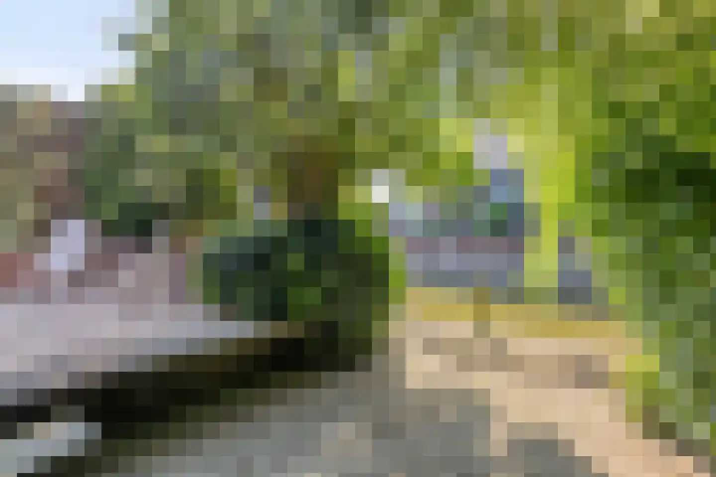 Werflaan 36 Zoetermeer thumbnail 29