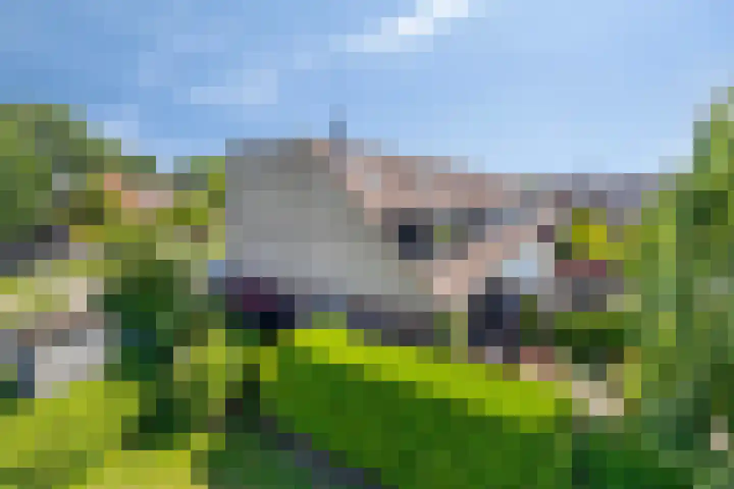 Werflaan 36 Zoetermeer thumbnail 43