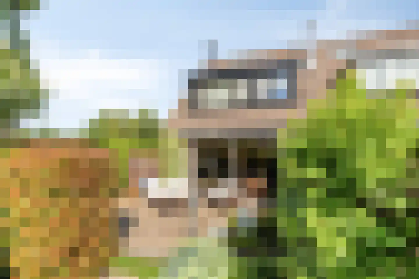 Werflaan 36 Zoetermeer thumbnail 5