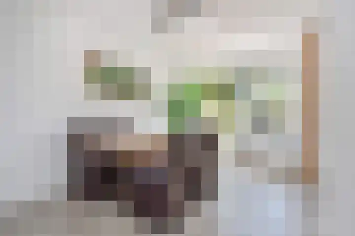 Werflaan 67 Zoetermeer thumbnail 11