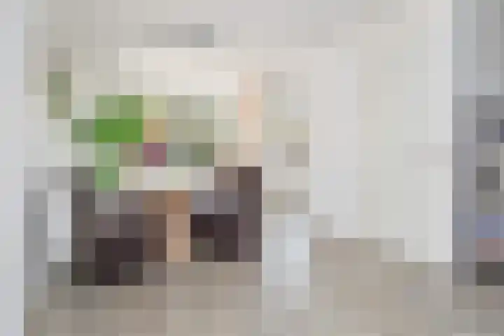 Werflaan 67 Zoetermeer thumbnail 12
