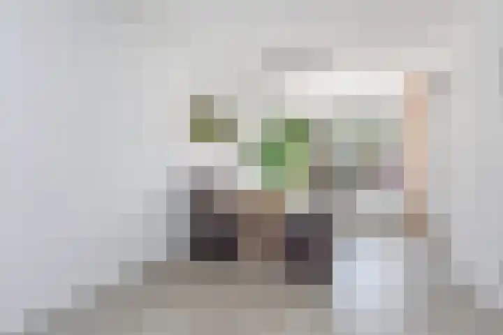 Werflaan 67 Zoetermeer thumbnail 13