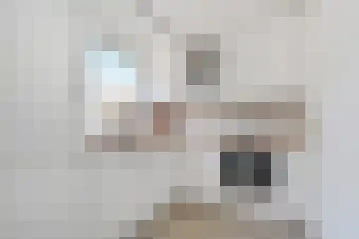 Werflaan 67 Zoetermeer thumbnail 16