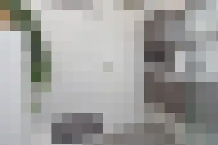 Werflaan 67 Zoetermeer thumbnail 24