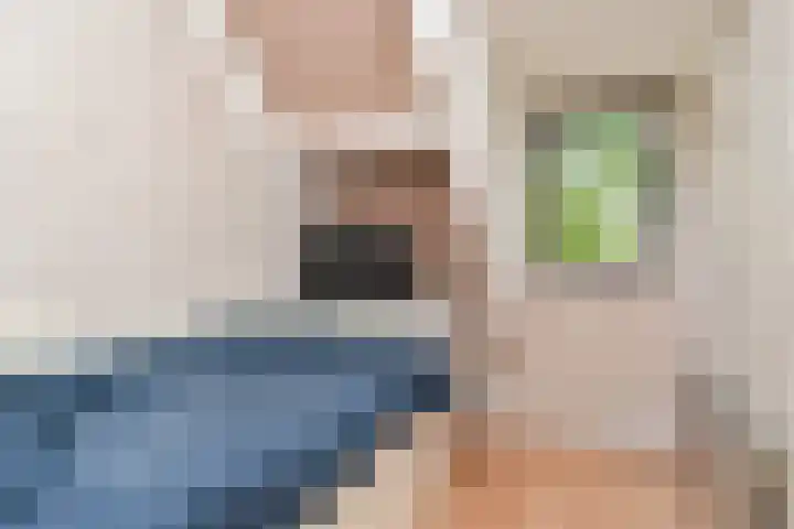 Werflaan 67 Zoetermeer thumbnail 31