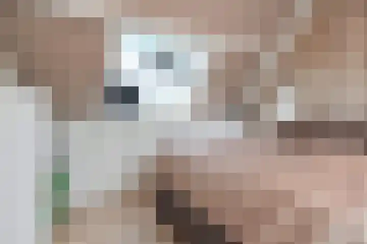 Werflaan 67 Zoetermeer thumbnail 32