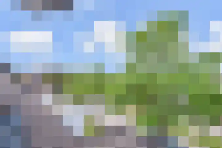 Werflaan 67 Zoetermeer thumbnail 34