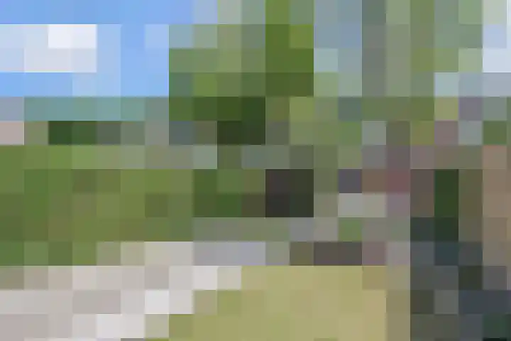 Werflaan 67 Zoetermeer thumbnail 36