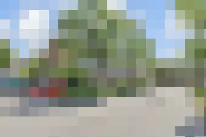 Werflaan 67 Zoetermeer thumbnail 41