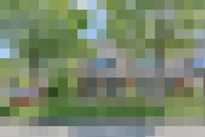 Werflaan 67 Zoetermeer thumbnail 43
