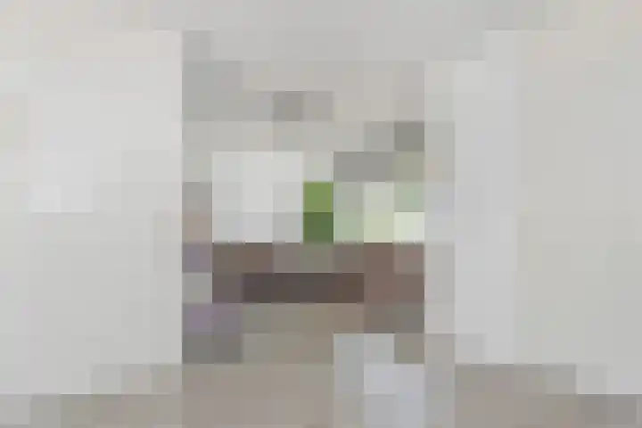 Werflaan 67 Zoetermeer thumbnail 8