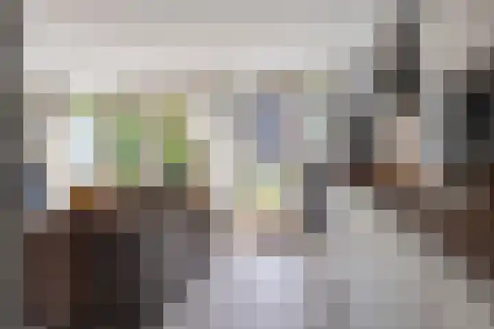Werflaan 79 Zoetermeer thumbnail 10