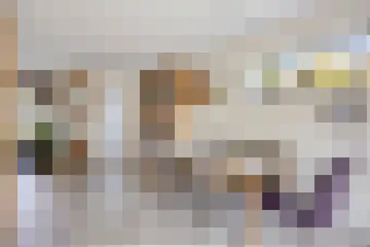Werflaan 79 Zoetermeer thumbnail 11