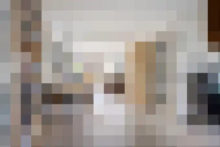 Werflaan 79 Zoetermeer thumbnail 13