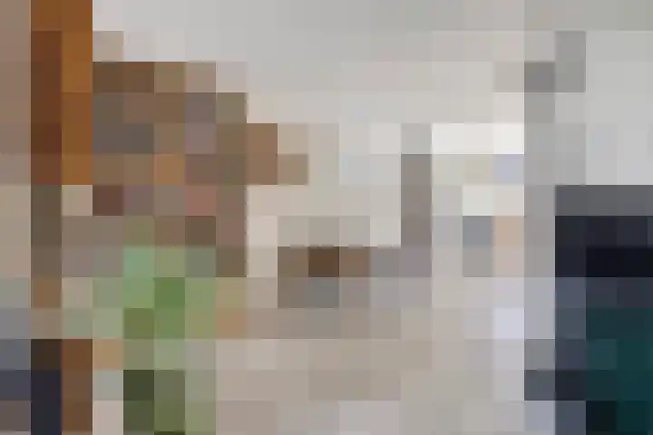 Werflaan 79 Zoetermeer thumbnail 15