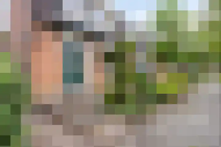Werflaan 79 Zoetermeer thumbnail 17