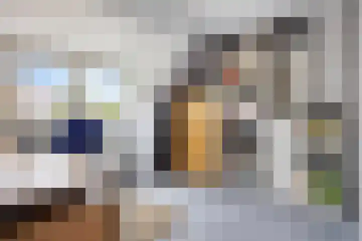 Werflaan 79 Zoetermeer thumbnail 25