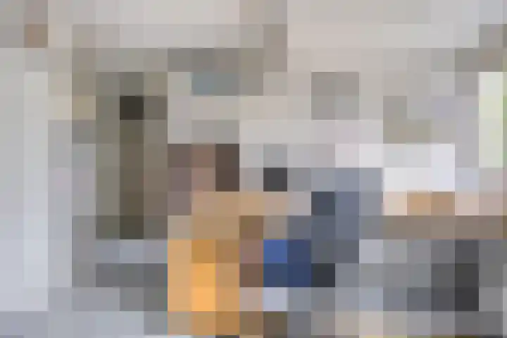 Werflaan 79 Zoetermeer thumbnail 26
